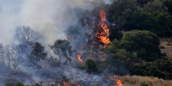 Φωτιά στη Σάμο: Μεγάλη κινητοποίηση της Πυροσβεστικής