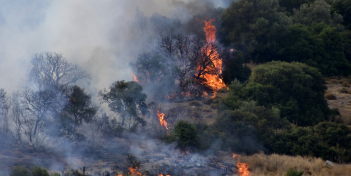 Μεγάλη φωτιά στο Μαρκόπουλο Ωρωπού – Επιχειρούν επίγειες και εναέριες δυνάμεις της Πυροσβεστικής
