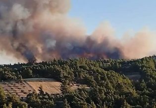 Φωτιά: Πύρινο μέτωπο σε δασική περιοχή στη Ρόδο – Εχθρός οι ισχυροί άνεμοι