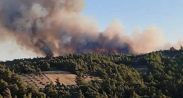 Φωτιά: Πύρινο μέτωπο σε δασική περιοχή στη Ρόδο – Εχθρός οι ισχυροί άνεμοι