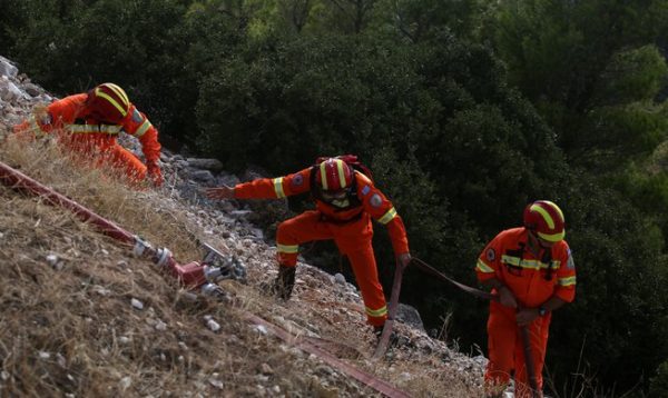 Βέροια: Επιχείρηση της Πυροσβεστικής για τραυματισμένη γυναίκα στο όρος Βέρμιο