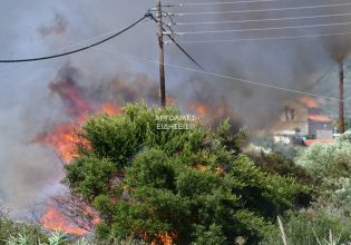 Επίδαυρος: Φωτιά κοντά στο χωριό Μετόχι
