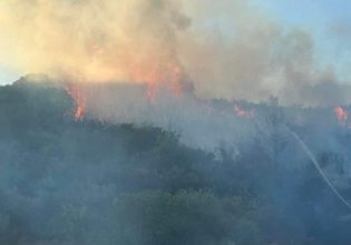 62 δασικές πυρκαγιές το τελευταίο 24ωρο – Οριοθετήθηκε η φωτιά στον Άγιο Γεώργιο Θάσου
