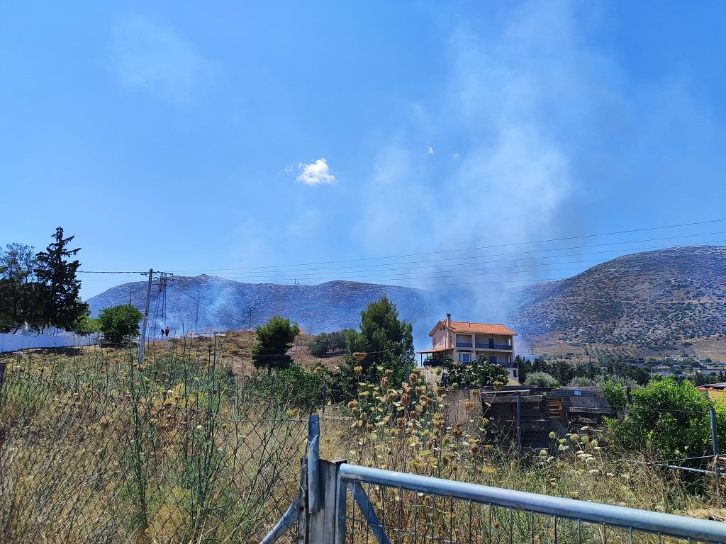 Συναγερμός για φωτιά στην Κερατέα – Στη μάχη της κατάσβεσης και εναέρια μέσα