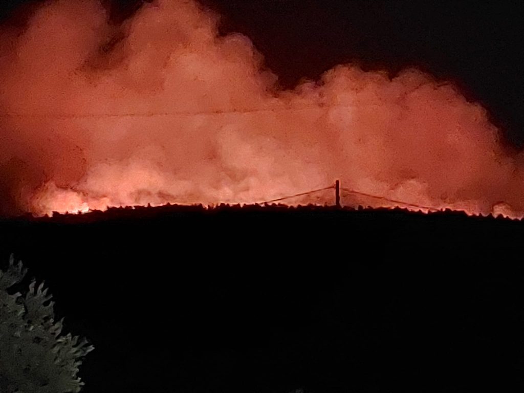 Φωτιά: Νύχτα αγωνίας στη Ρόδο – Καίγεται πυκνή δασική έκταση