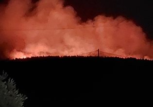 Φωτιά: Νύχτα αγωνίας στη Ρόδο – Καίγεται πυκνή δασική έκταση