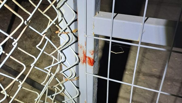 Χαλκιδική: Εφιαλτική νύχτα για γυναίκα – Κουκουλοφόρος τη χτύπησε με κοντάκι όπλου για να τη ληστέψει