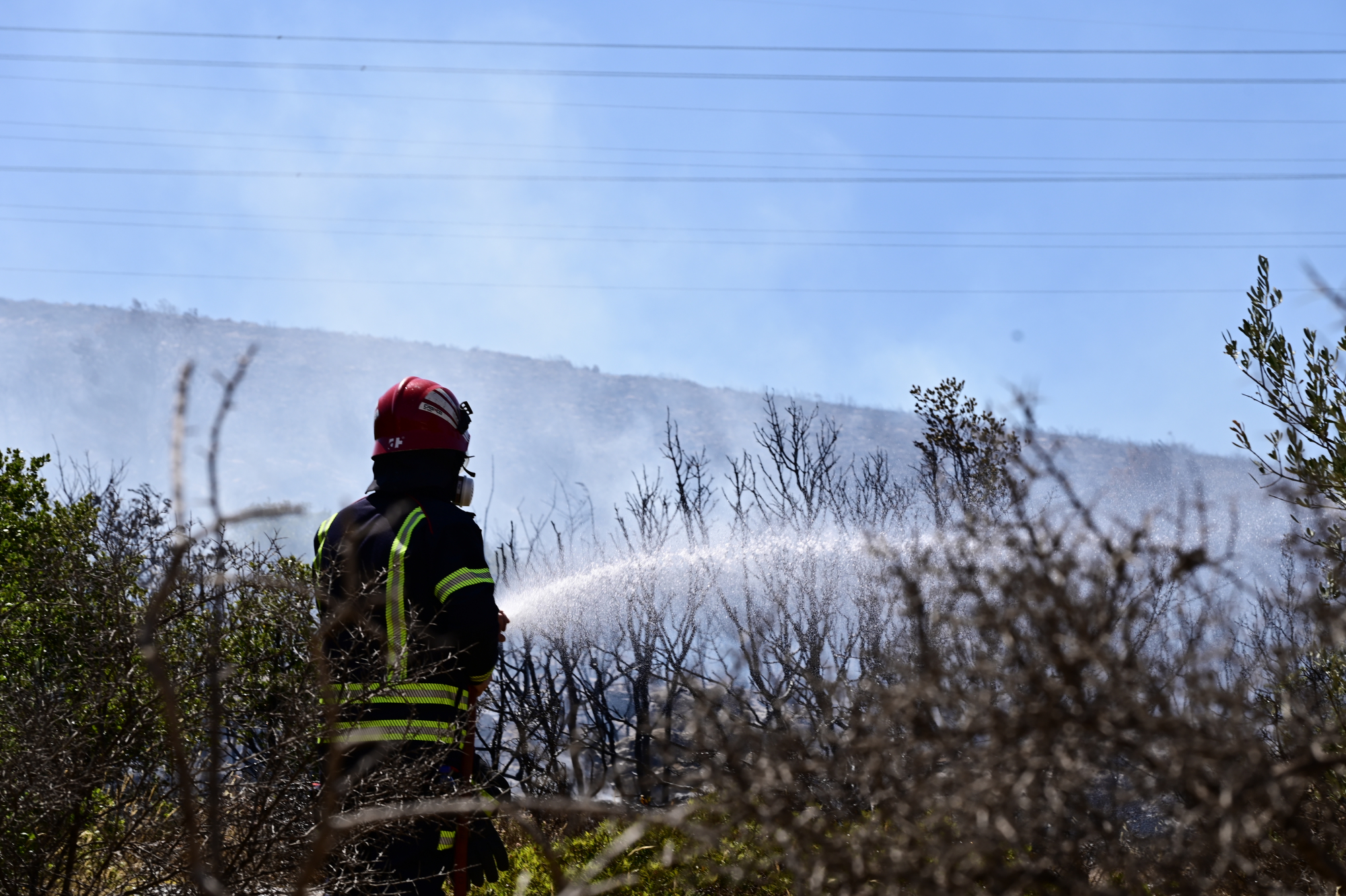 Καταστροφικές πυρκαγιές προκαλεί ο καύσωνας στην Νότια Ευρώπη