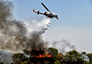 Βοιωτία: Μεγάλη φωτιά σε δασική έκταση στην Υλίκη – Επιχειρούν και εναέρια μέσα