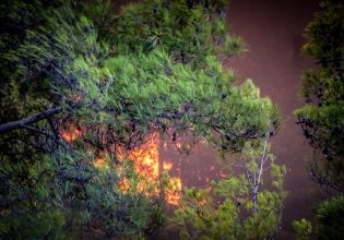 Φωτιά στην Ρόδο: Φωτογραφία από δορυφόρο δείχνει το μέγεθος της καταστροφής