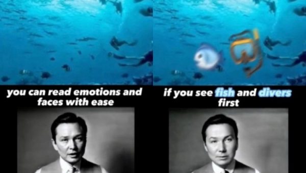 Η ψευδαίσθηση που τρελαίνει το TikTok – «Δείχνει» αν ξεγελιέστε εύκολα