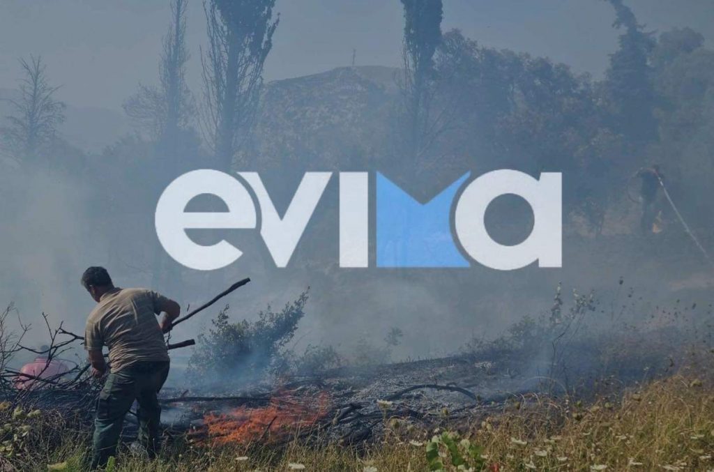 Φωτιά στην Εύβοια: Ξέσπασε σε αγροτοδασική έκταση στην Κύμη