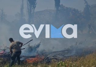 Φωτιά στην Εύβοια: Ξέσπασε σε αγροτοδασική έκταση στην Κύμη