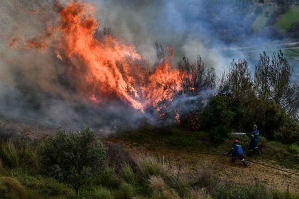 Μεσολόγγι: Φωτιά σε δασική έκταση στο Πλατυγιάλι Αστακού