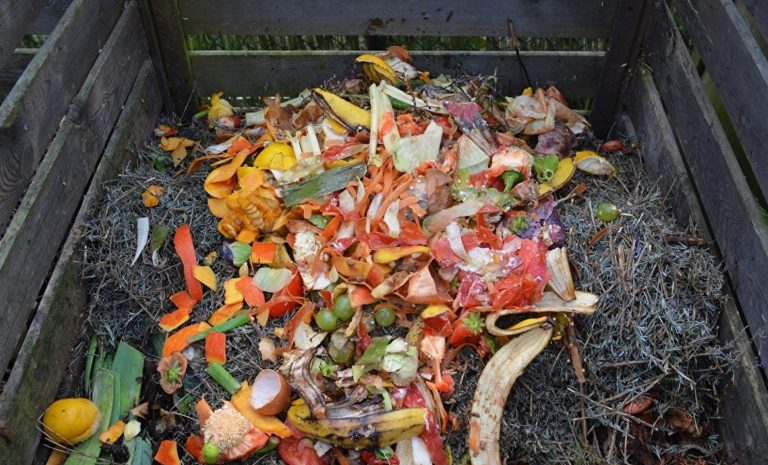 Ναυτιλία: Η BP επενδύει στην παραγωγή καυσίμων από οργανικά απόβλητα