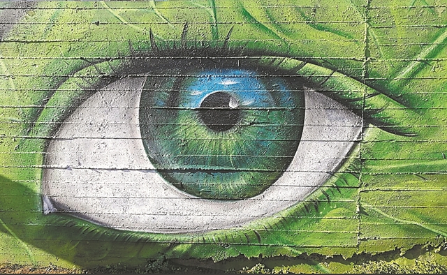 Μέσα από τις στάχτες άνθησε η αλληλεγγύη