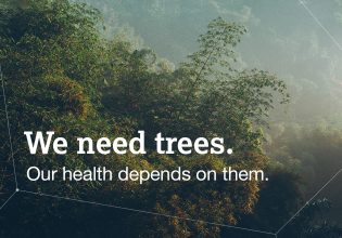 AstraZeneca: Επένδυση 400 εκατ. δολαρίων στην αναδάσωση και τη βιοποικιλότητα 