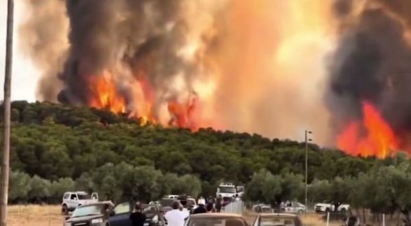 Φωτιά στη Ρόδο: «Γινόταν το απόλυτο χάος» – Σοκάρει η περιγραφή εθελόντριας