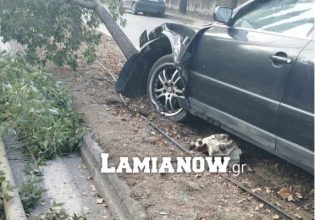 Σοκ στη Λαμία: Τον πήρε ο ύπνος στο τιμόνι, καβάλησε το κράσπεδο και πήρε σβάρνα δέντρα