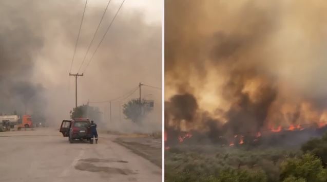 Φωτιά στη Μαγνησία: Το ξέσπασμα του γιου της 67χρονης που κάηκε στο τροχόσπιτό της