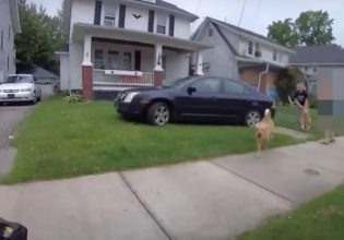 Οχαΐο: Αστυνομικός πυροβόλησε εν ψυχρώ ένα άκακο γκόλντεν ριτρίβερ που τον πλησίασε για να παίξει