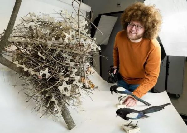 Η εκδίκηση των πτηνών: Φωλιές φτιαγμένες από ακίδες απώθησης πτηνών