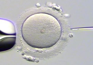 Οι φόβοι πρέπει να εκφράζονται