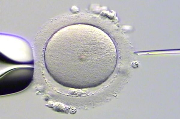 Οι φόβοι πρέπει να εκφράζονται