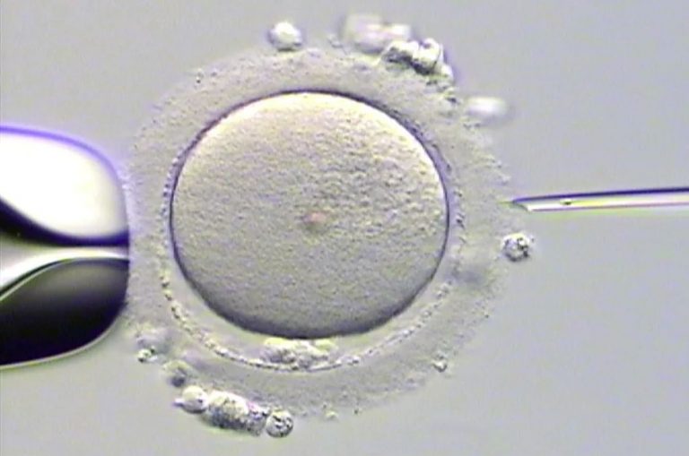 Οι φόβοι πρέπει να εκφράζονται