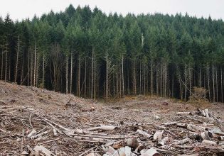 Οικοσυστήματα: Συνεχίζεται το θρίλερ για τον Κανονισμό της ΕΕ περί  αποκατάστασης της φύσης