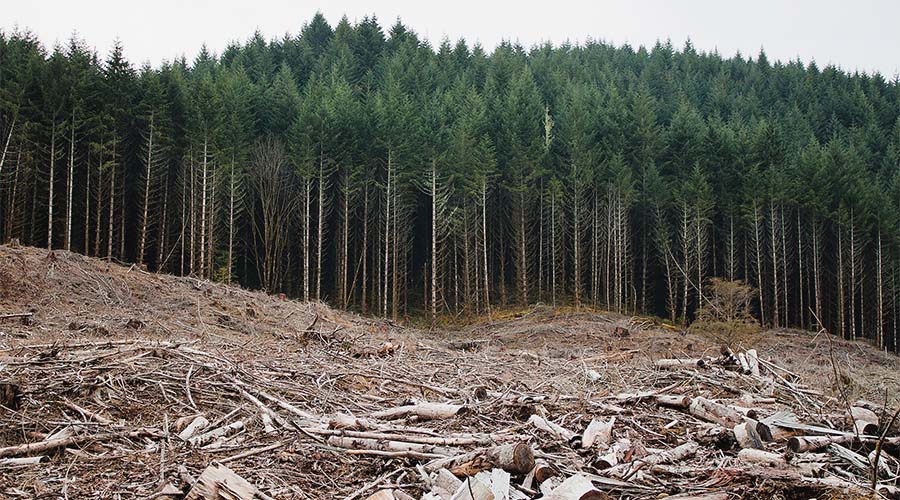 Οικοσυστήματα: Συνεχίζεται το θρίλερ για τον Κανονισμό της ΕΕ περί  αποκατάστασης της φύσης