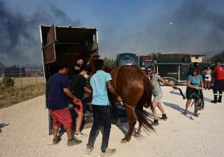 Φωτιά στον Κουβαρά: Σε εξέλιξη επιχείρηση μεταφοράς ζώων στο Γαλάτσι