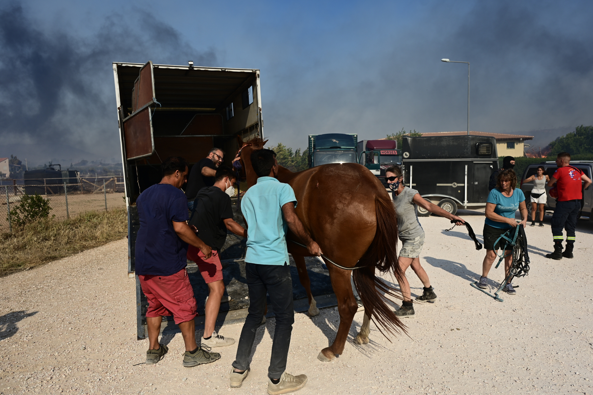 Φωτιά στον Κουβαρά: Σε εξέλιξη επιχείρηση μεταφοράς ζώων στο Γαλάτσι