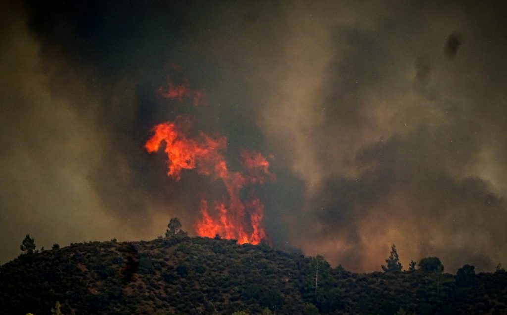 Φωτιά: Συνολικά 50.000 ελαιόδεντρα και 2.500 ζώα «χάθηκαν» στη Ρόδο – Μέχρι πότε οι δηλώσεις για τις ζημιές