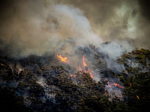 Πρώτο θέμα στα βρετανικά ΜΜΕ η φωτιά στη Ρόδο – «Έμοιαζε κυριολεκτικά σαν το τέλος του κόσμου»