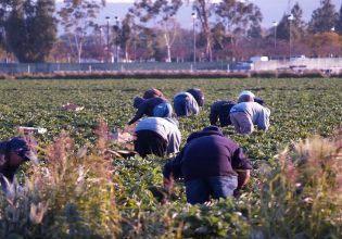 Εργάτες γης: Προς εκκαθάριση οι ασφαλιστικές εισφορές όσων αμείβονται με εργόσημο