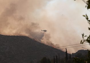 «Δεν υπάρχει κανείς να βοηθήσει, θα θρηνήσουμε θύματα» – Δραματική έκκληση εθελοντή για τη Νέα Αγχίαλο