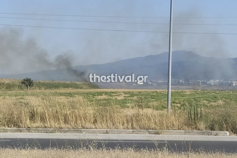 Φωτιά στον Λαγκαδά – Καίει  χορτολιβαδική έκταση και καλαμιές