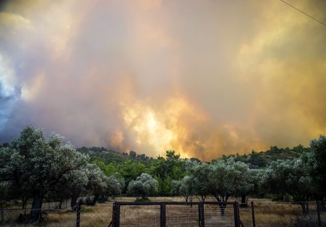 Φωτιά στη Ρόδο: Πύρινη λαίλαπα - Καίγονται σπίτια στα Λάερμα, εκκενώνονται χωριά