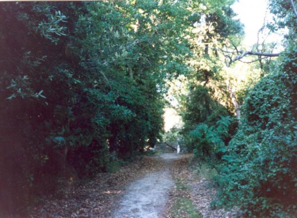 Να αναδείξει 157 χιλιόμετρα μονοπατιών επιχειρεί ο Δήμος Καλαμάτας