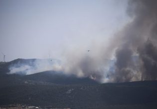 Πρόεδρος ΚΕΔΕ: «Οι φωτιές δεν ξεκίνησαν σε περιοχές ευθύνης των Δήμων»