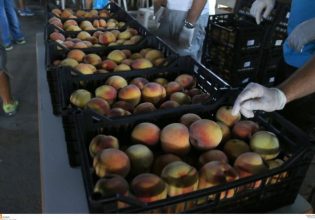 Ξεκινά η διανομή τροφίμων και ειδών βασικής υλικής συνδρομής σε ωφελούμενους από τον Δήμο Πειραιά