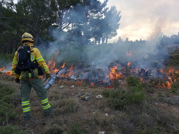 Φωτιά στη φωτιά: Πείραμα ελεγχόμενης καύσης από το WWF για την πρόληψη των πυρκαγιών