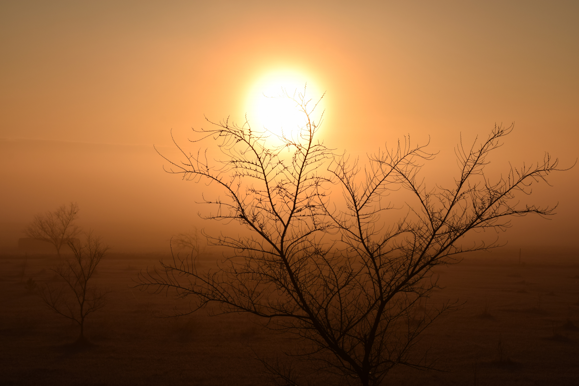 Κλιματική αλλαγή: Η Τρίτη ξεπέρασε τη Δευτέρα ως η θερμότερη μέρα όλων των εποχών