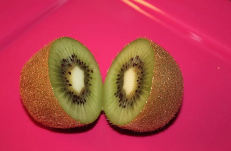 Tα «ματωμένα» ακτινίδια της Ιταλίας