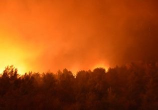 Φωτιά στη Χίο: Σε εξέλιξη η πυρκαγιά – Επιχειρούν εναέρια μέσα