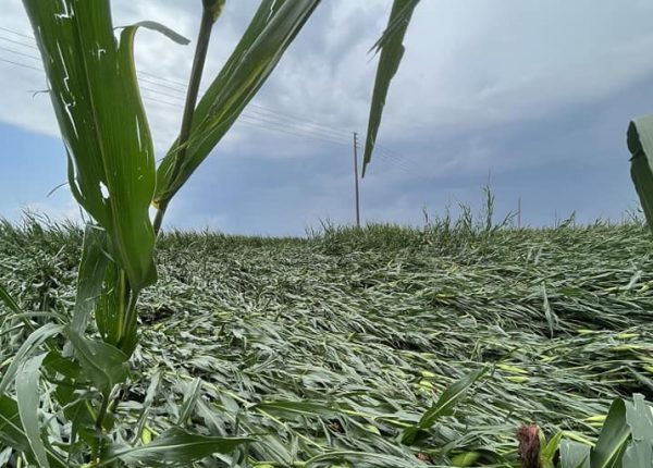 Μεγάλες καταστροφές από ανεμοστρόβιλο στην Ξάνθη – Σάρωσε τα πάντα