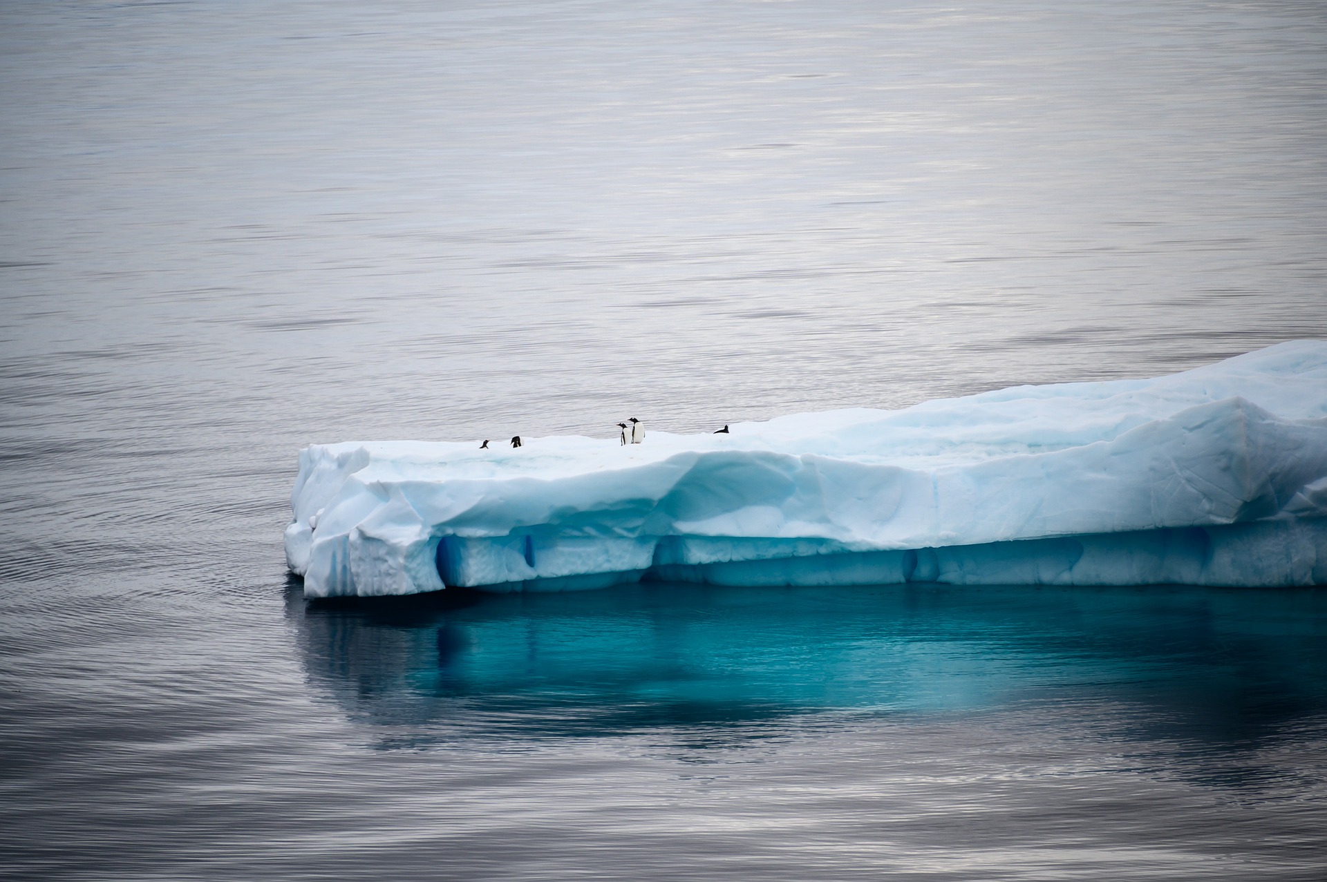 Κλιματική κρίση: Χάθηκε μία τεράστια ποσότητα πάγου από την Ανταρκτική