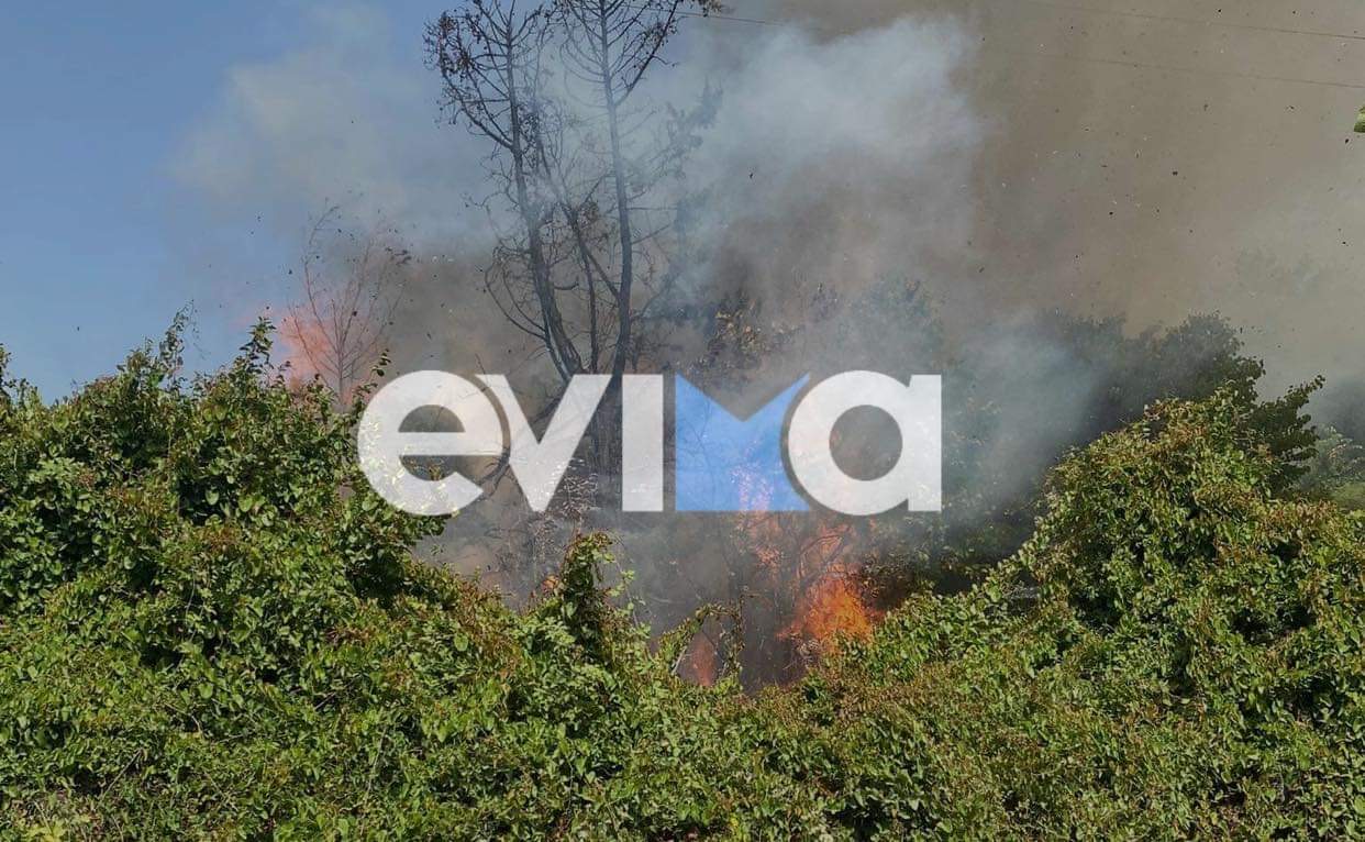Φωτιά στην Εύβοια: Νέος συναγερμός στην Πυροσβεστική για την Κύμη - Κοντά σε χωριό οι φλόγες