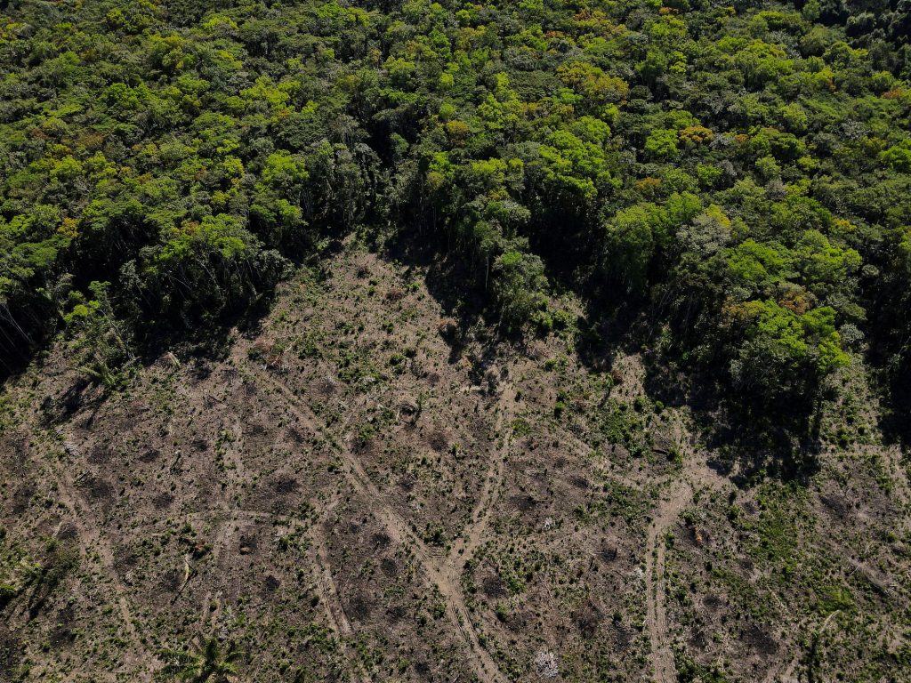 Βραζιλία: Μειώθηκε τουλάχιστον κατά το 1/3 η αποψίλωση του τροπικού δάσους του Αμαζονίου